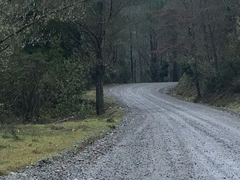 Breiter Schotterweg, der sich durch den Wald zieht