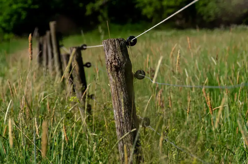 Holzpfosten eines Weidezauns mit gespanntem Draht